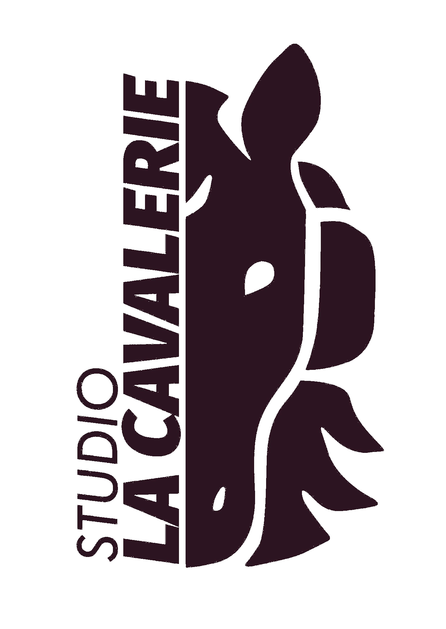 Studio La Cavalerie
